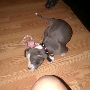 Meet your Posher, Trina